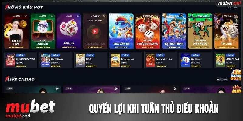 4 quyền lợi của người dùng dịch vụ khi tuân thủ điều khoản 